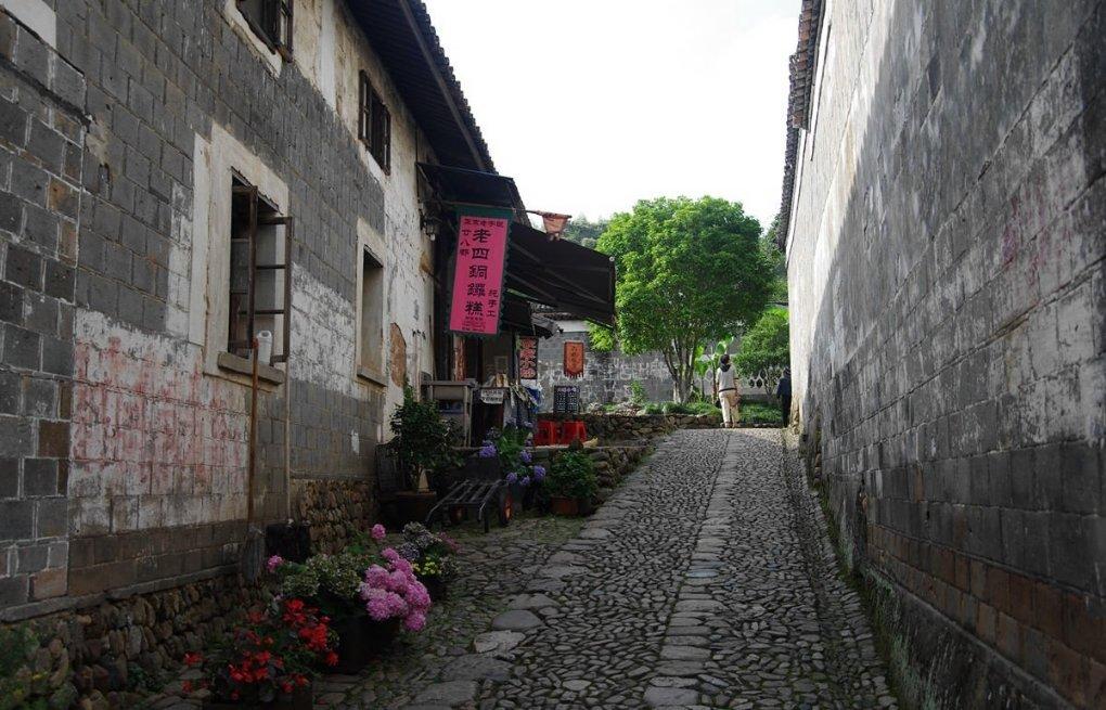 怀孕期间能吃什么，不能吃什么